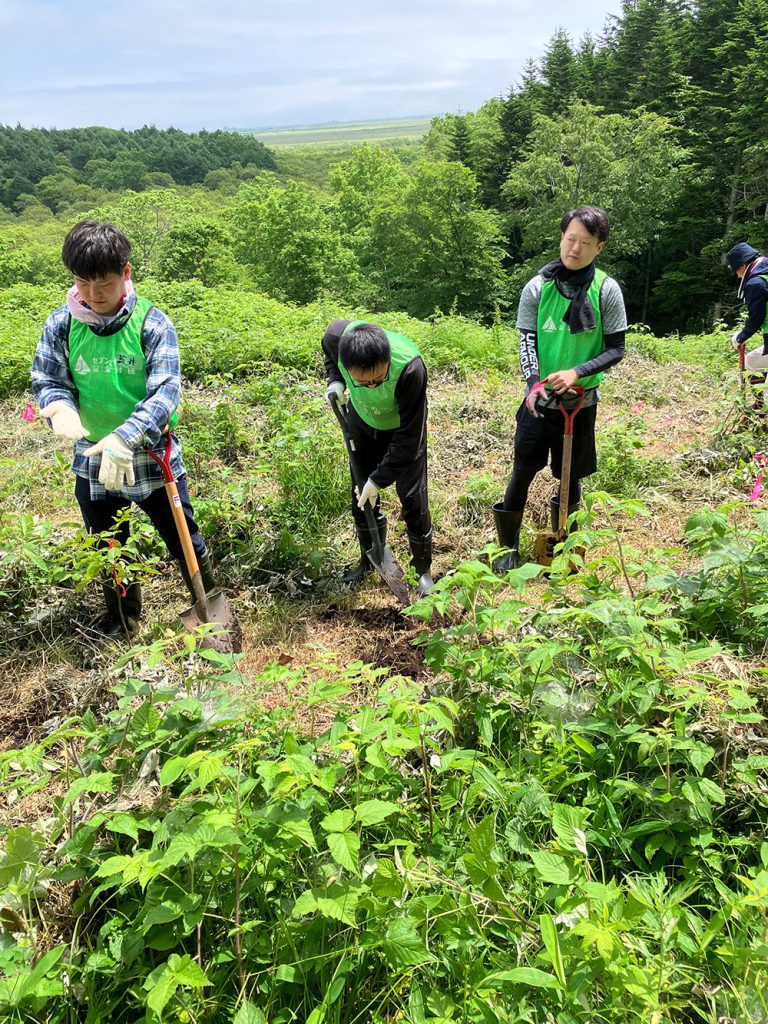 植樹の様子