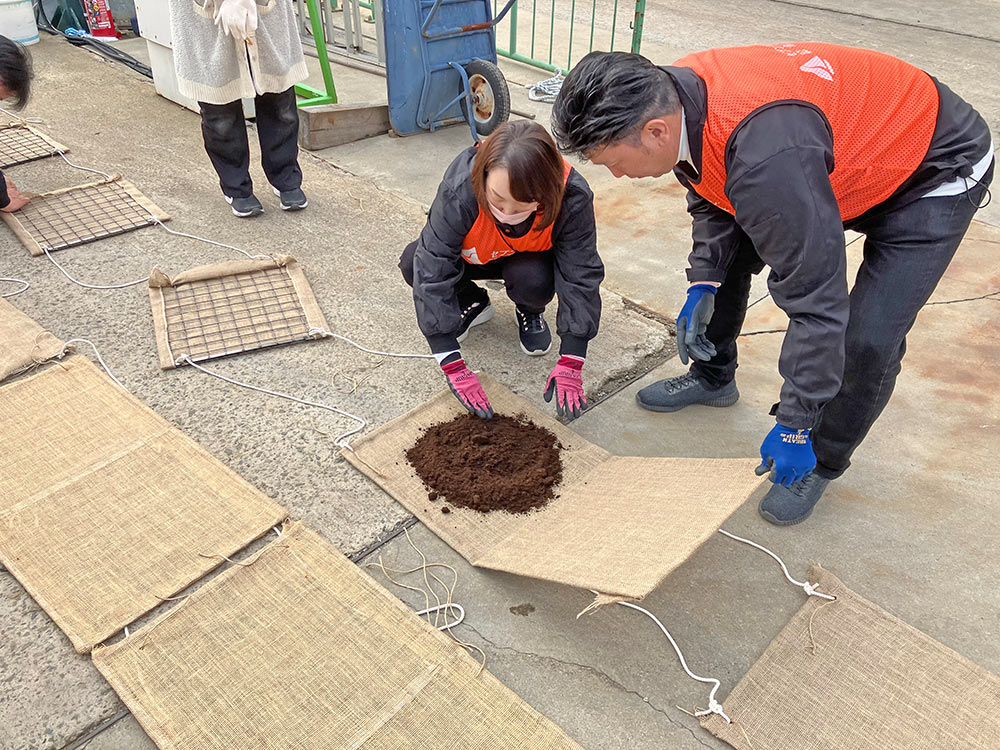 アマモの選別と種の植付