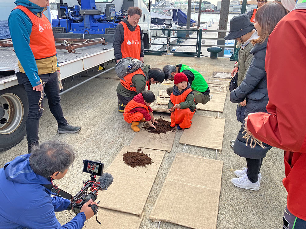 アマモの選別と種の植付