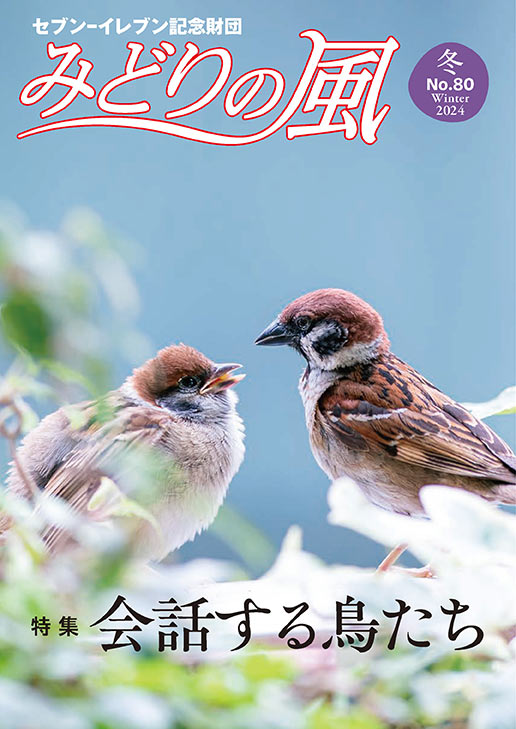 みどりの風2024年冬号（vol.80）