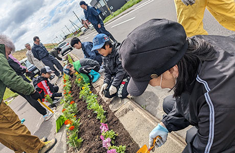 道路の植樹帯に花株を植えている様子