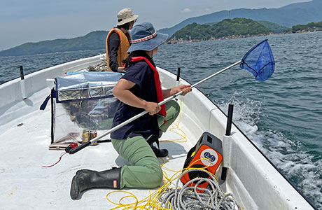 漂流ごみ調査の様子